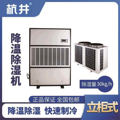 CFJZF30S風(fēng)冷調(diào)溫除濕空調(diào)機(jī)組
