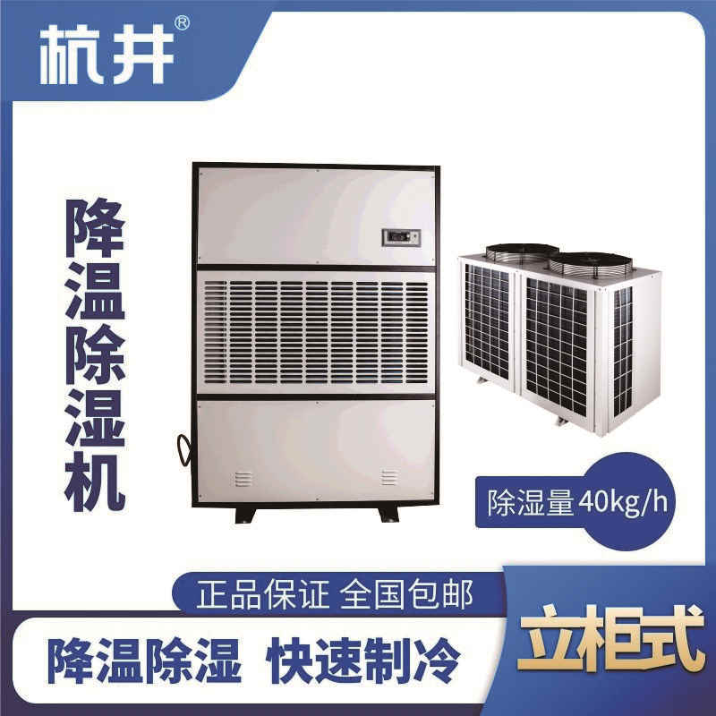 CFJZF40S風冷調(diào)溫除濕空調(diào)機組